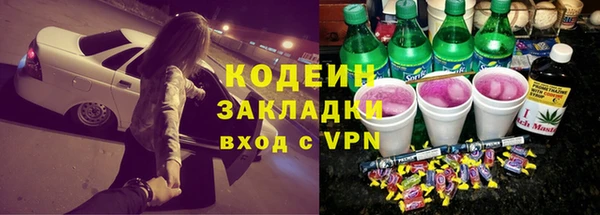 шишки Беломорск
